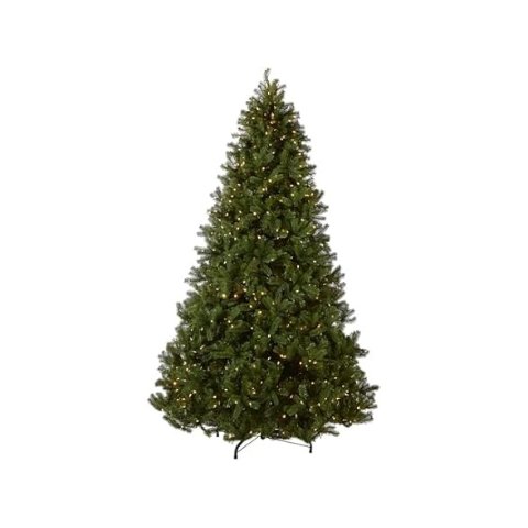  9ft Pre-Lit Downswept Douglas Fir Christmas Tree