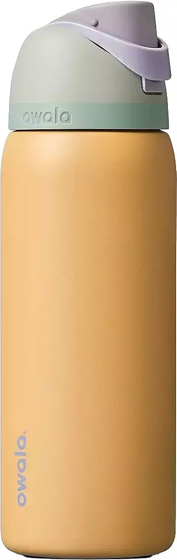  FreeSip 不锈钢水瓶 32oz