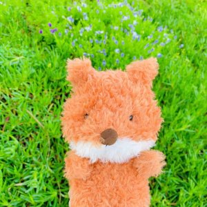 Jellycat Little Fox 毛绒玩偶
