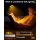Glocusent  13 LED Rechargeable Clip-On Book Light for Reading