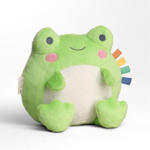 Itzy Ritzy Snuggles 新生儿毛绒玩具 青蛙