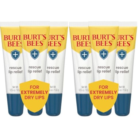Burts Bees Rescue Lip Relief with Shea Butter and Echinacea 0.35 oz (2-Pack)