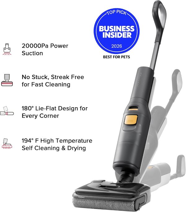 roborock F25 BX 无线干湿洗地机 20000Pa
