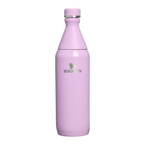 STANLEY All Day Slim 保温瓶 20oz