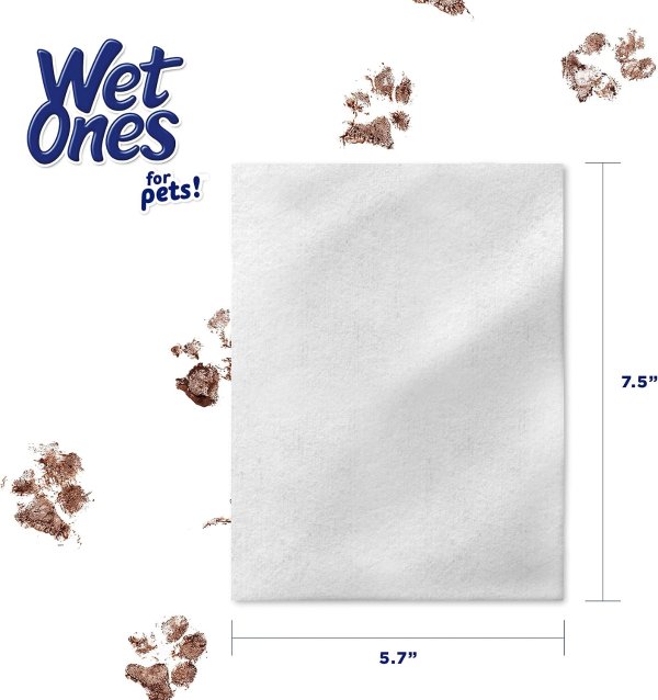 WetOnes 猫咪清洁湿巾 芦荟配方 50片