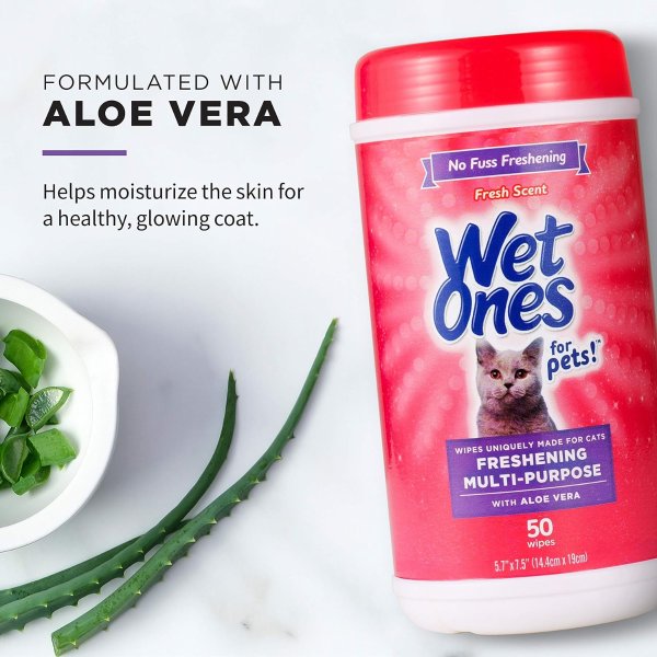 WetOnes 猫咪清洁湿巾 芦荟配方 50片